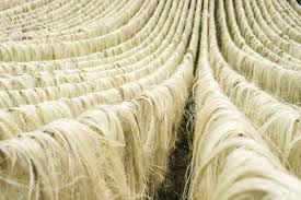 Sisal Fibre